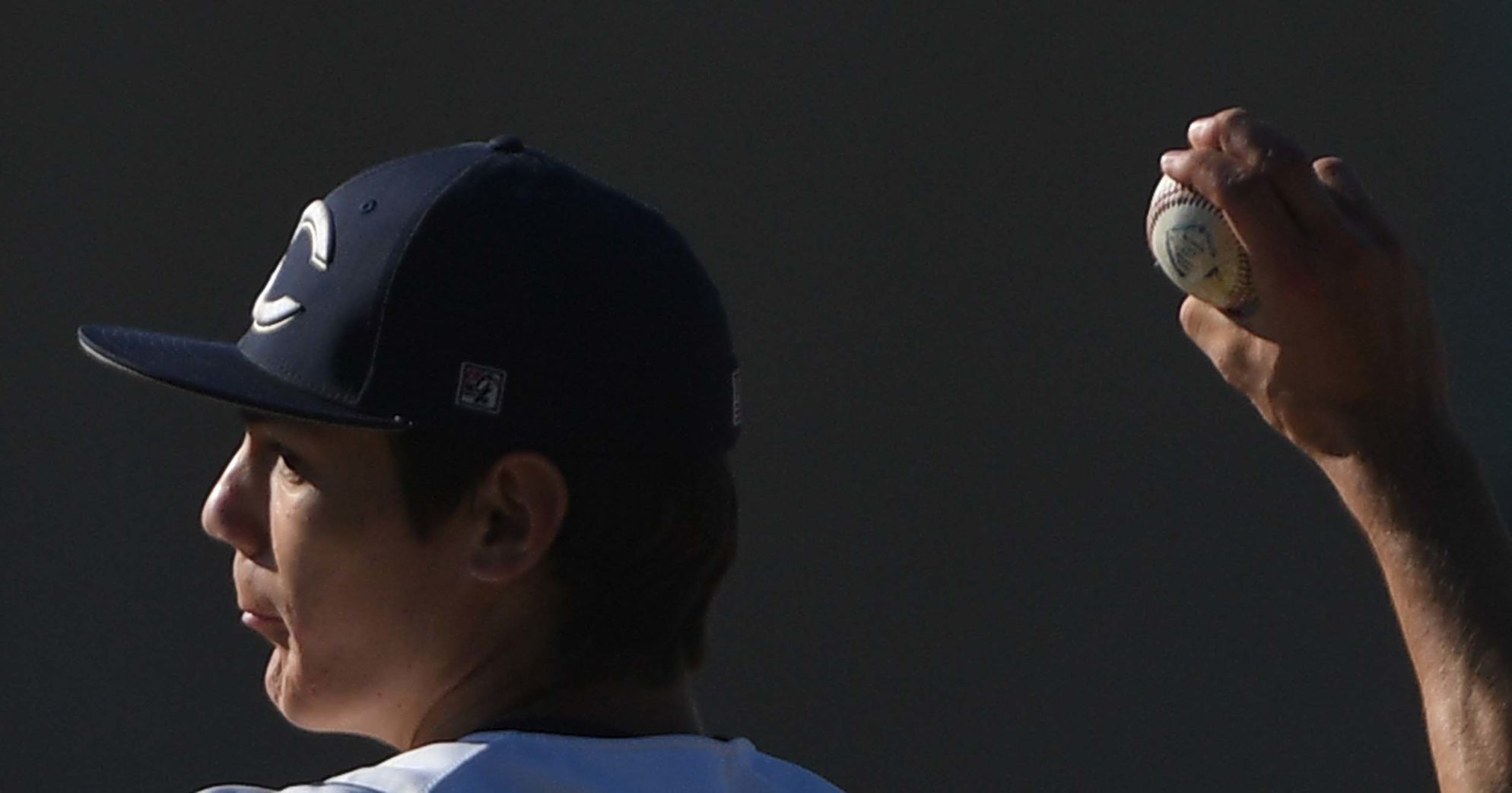 Cedar Cliff Exeter Baseball